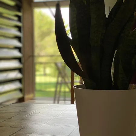 Bilo 107 Appartement *
